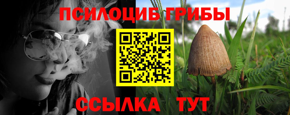 Галлюциногенные грибы GOLDEN TEACHER Каспийск